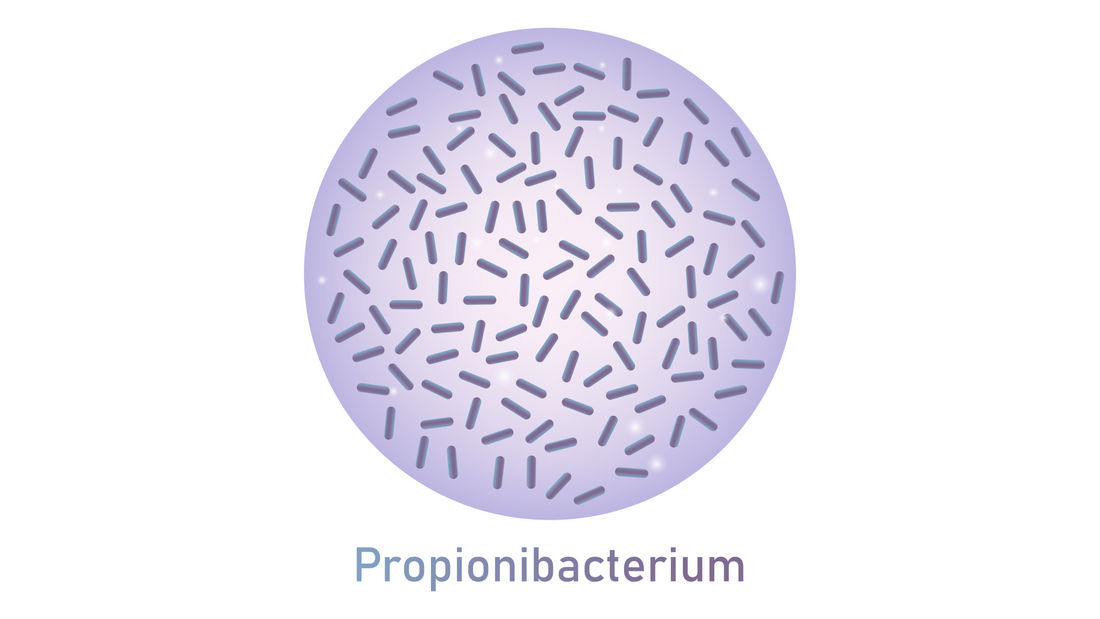 Probiotics Skincare for Acne
